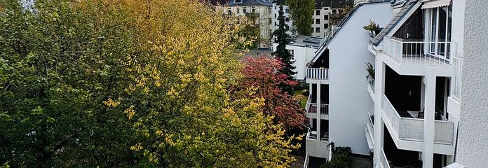 Ausblick in den eigenen Garten