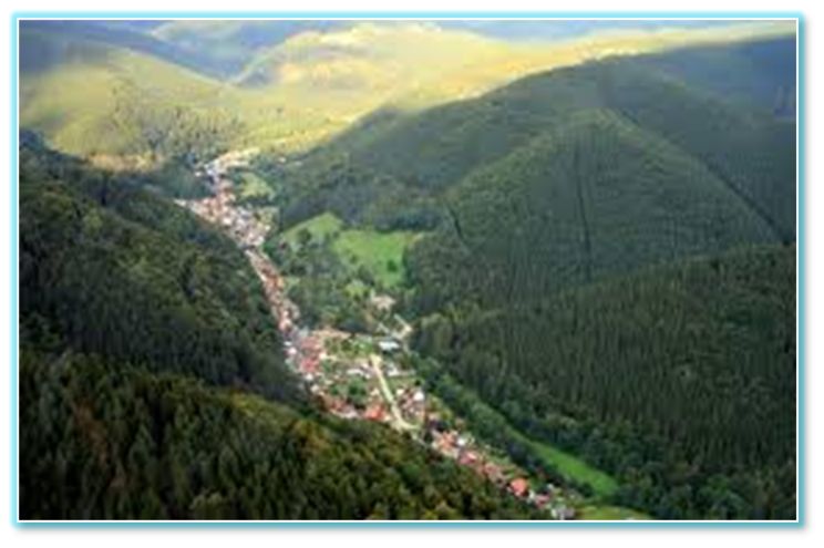Sieber