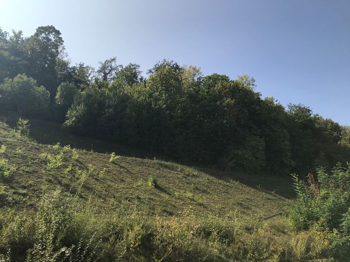 2,5 Zimmer Terassenwohung – Ausblick Terasse