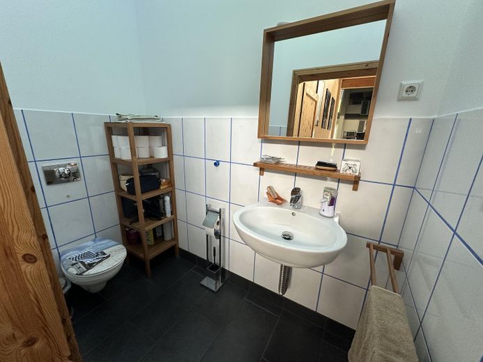 Immobile commerciale 2 capannoni 300 + 450 m² casa unifamiliare 188 m² – Gäste-WC
