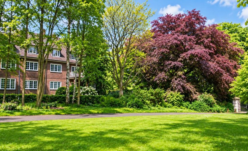 मांग रखने वाले अकेले व्यक्ति के लिए हिरशपार्क के पास विशिष्ट मेज़ोनेट – Haus mit Blutbuche im Garten