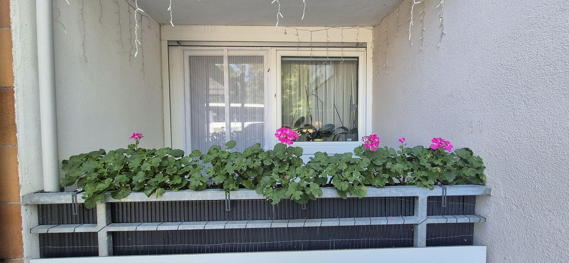 Appartement moderne de 4,5 pièces, 105 m², de plain-pied avec 2 balcons dans un cadre calme en lisière de forêt à Mühlacker – 2. Balkon