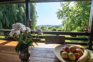 Blick auf Garten und Waging