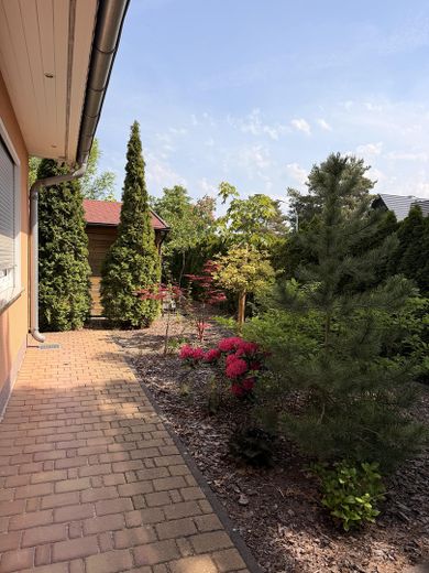 Viel Platz für Familie, Garten & Leben – freistehendes Architektenhaus in Oranienburg – Aussenansicht