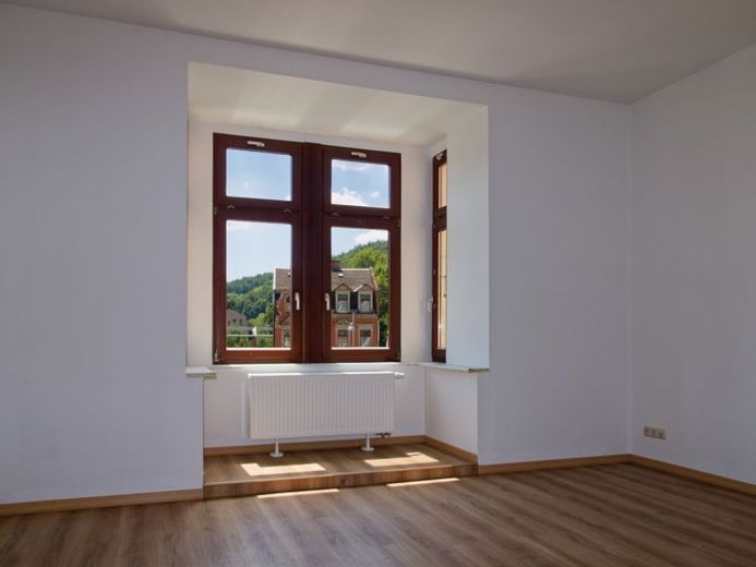Helle Wohnung in Greizer Innenstadt mit Blick über die Elster – Foto 1