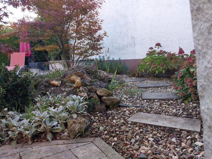 Garten Rundgang Schwimmteich