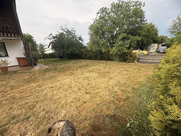 Garten2