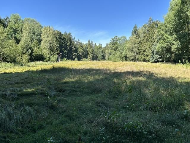 Paraíso rural/ bosque-pradera-agua – Wiese 