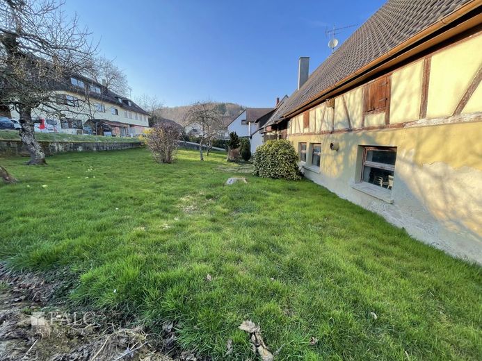 Hofanwesen mit Potenzial - FALC-Immobilien Öhringen – Garten