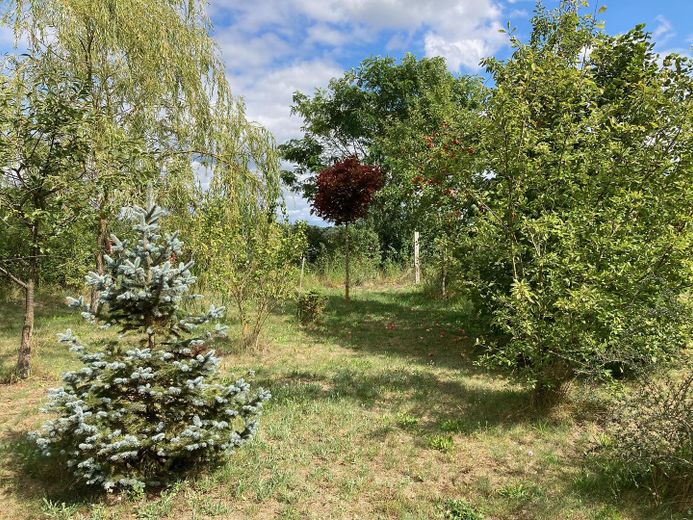 traumhaftes Bauland am Naturschutzgebiet – Foto 12