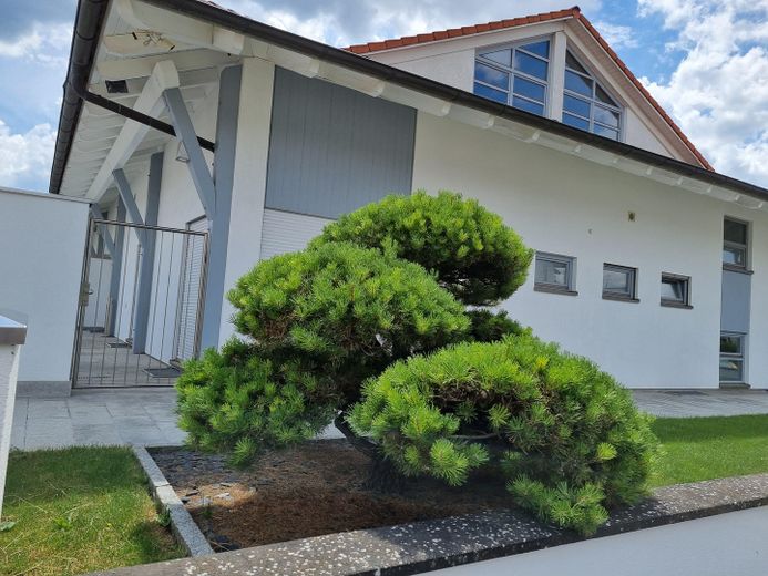 Representative office & practice building in Altdorf – perfect connections & accessible ground floor – Ansicht Gebäude