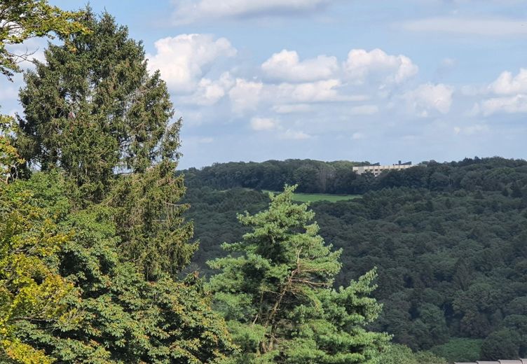 Aussicht Naturschutzgebiet Gel