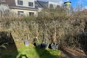 Sonderpreis befristet; attraktives KfW 70 Haus, Wärmepumpe, direkt vom Eigentümer, – Garten