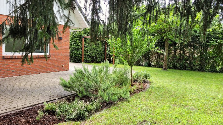 Garten (3/3)