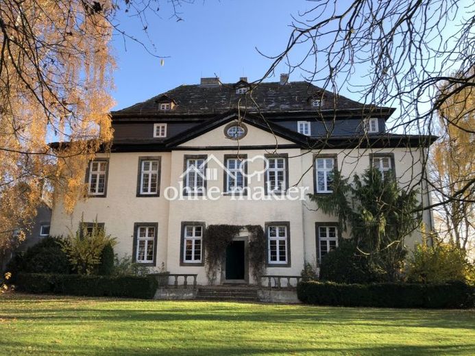 Barockschloss Natzungen (1728) – Historisches Herrenhaus auf 5.000 m² Parkgrundstück – फोटो 1