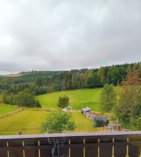 Haus im Grünen mit unverbaubarem Blick über den Frankenwald in ruhiger Lage – Foto 38