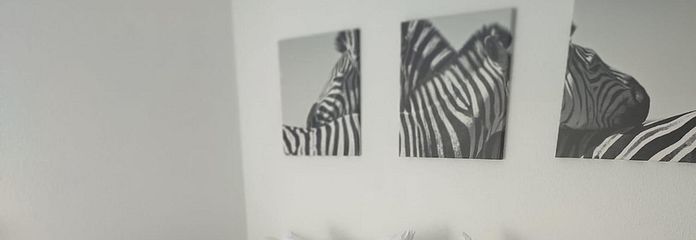 Ausziehbett