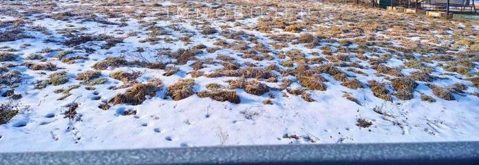 قطعة أرض: Am Krehergrund