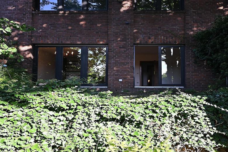 Blick vom Garten zum Haus