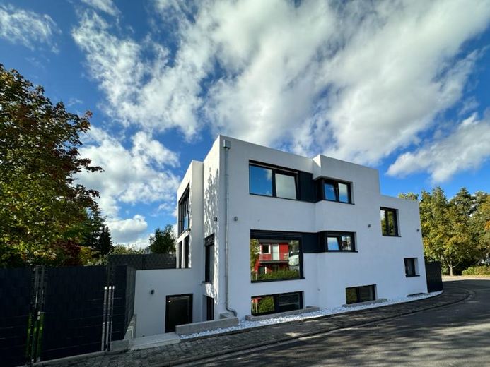 Modernes, großzügiges Einfamilienhaus mit Einliegerwohnung und Garage am Waldrand – Außenansicht