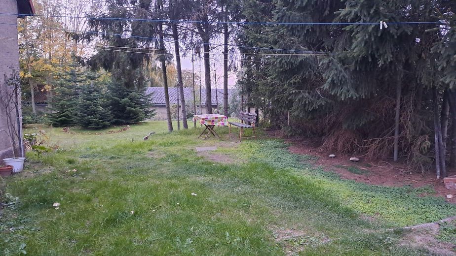 Wiese vor dem Haus