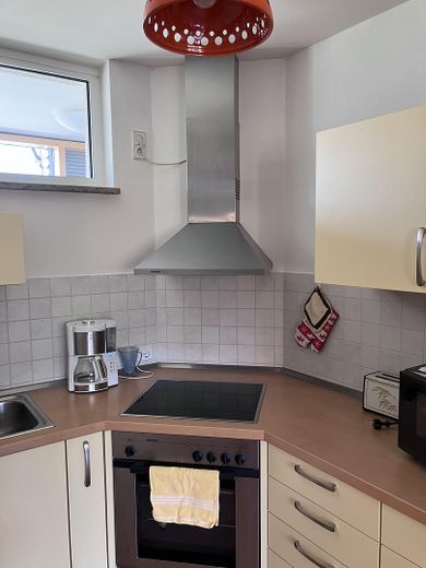 Ceran, Dunstabzug, Backofen