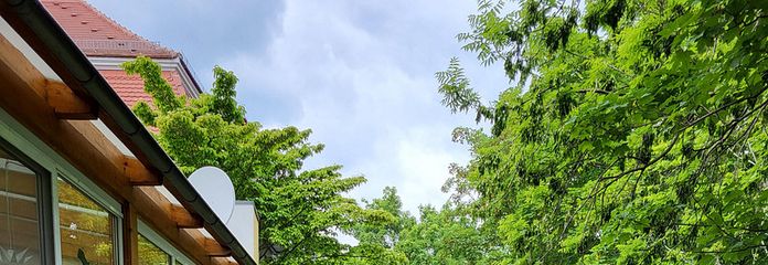 Garten 3