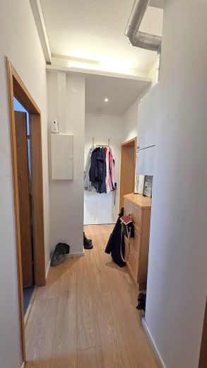 Gemoderniseerd 3-kamerappartement in een oud gebouw met echt houten parket & nieuwe inbouwkeuken – Fürth binnenstad – Flur