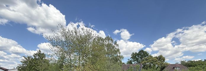 Ausblick