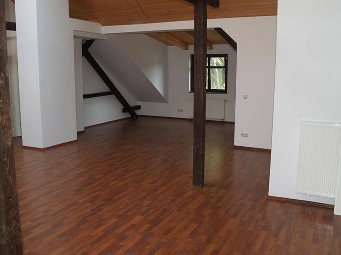 Exklusiv DG-Penthouse JAGDSCHLOSS 20km von L-Bhf 210m², 40m² Dachterrasse, Park, See, 2 Bäder – Wohnzimmer