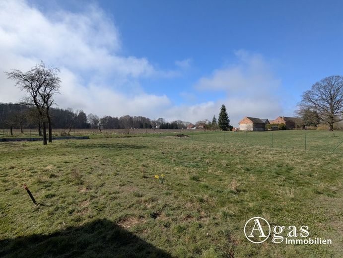 Einfamilienhaus mit Nebengebäuden auf großzügigem Grundstück – Garten