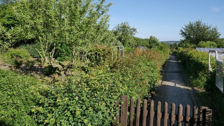 Schinkel-Kleingärten