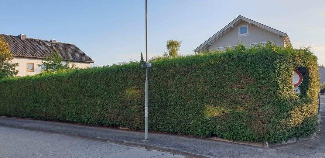 Kernsaniertes großzügiges Reiheneckhaus mit Einliegerwohnung und großem Garten – Foto 2