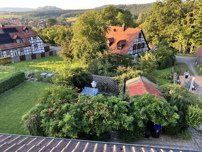 Ausblick vom DG in den Garten