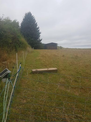 Wunderschönes Grundstück im Grünen – Foto 1