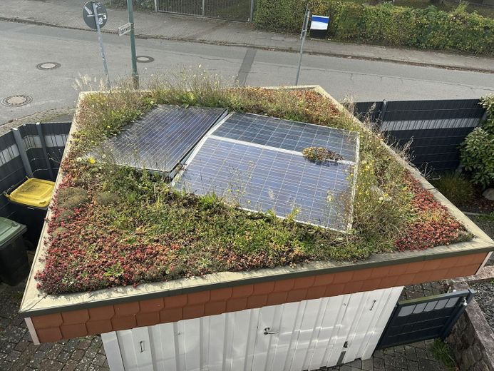 Gründach mit PV-Anlage