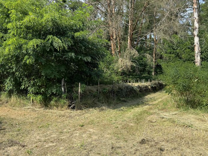 Blick vom Bunker Seite