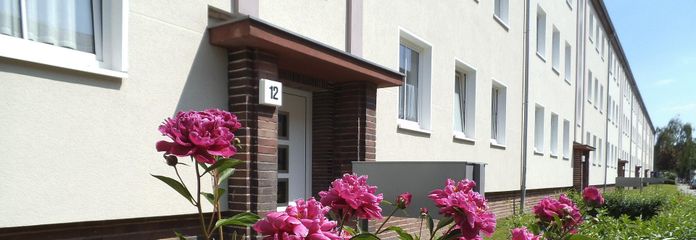 2-кімнатна квартира / 49 м² / Штадтфельд-Вест