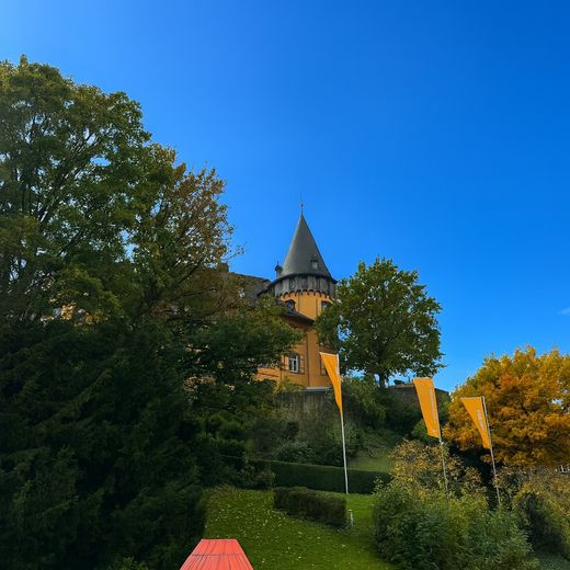 Blick aus dem Wohnzimmer