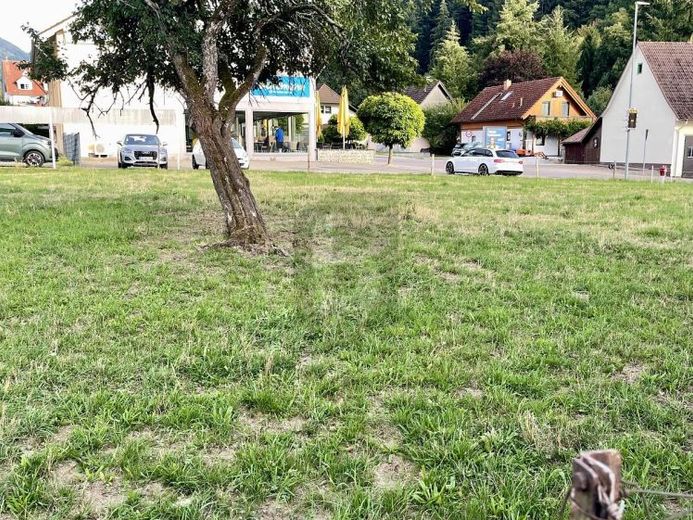 1976 M² & ZWEI GROSSE BAUFENSTER – Foto 1