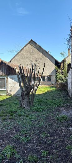Gartenblick