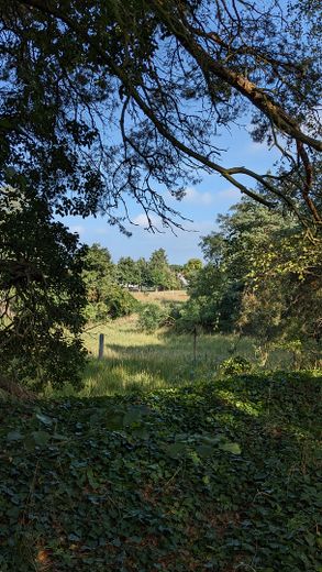 Baugrundstück für Naturliebhaber – Naturidyll 