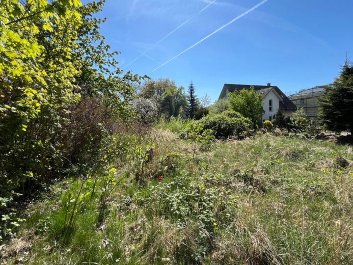 Ruhig gelegenes Baugrundstück in Mahlsdorf – Foto 1