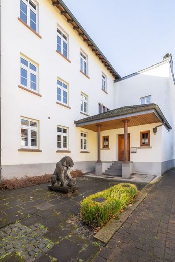 Historische Villa mit Rheinblick, Nebenhaus und Parkanlage in Erpel! – Haupteingang
