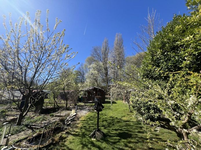 Charmante Doppelhaushälfte mit großem Garten in begehrter Lage... – Garten
