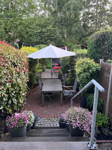 Blick in den Garten 