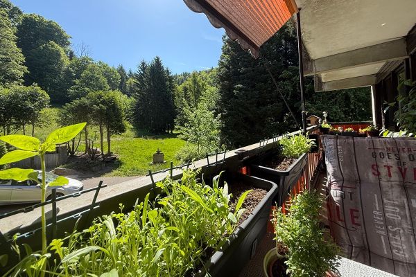 Kapitalanlage – Ferienwohnung / Airbnb-Investment in Sasbachwalden