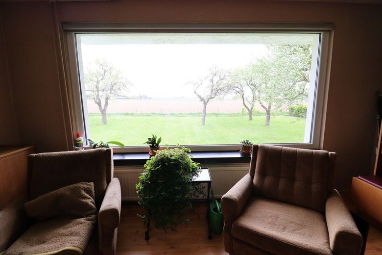 Großes EFH mit PV-Anlage, Kamin, Keller, Garagen und herrlichem Garten ! – Blick vom Wohnzimmer