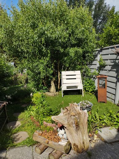 Mein's wird Dein's – Einziehen und wohlfühlen! – Gartenimpression