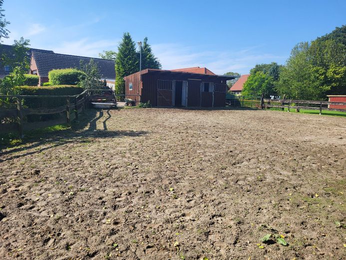 Exclusive detached house near Norddeich with pool, sauna, horse keeping – Paddock
